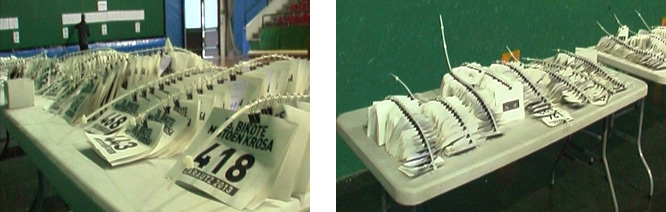 Irudiaren deskribapena